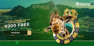 Springbok casino no deposit bonus